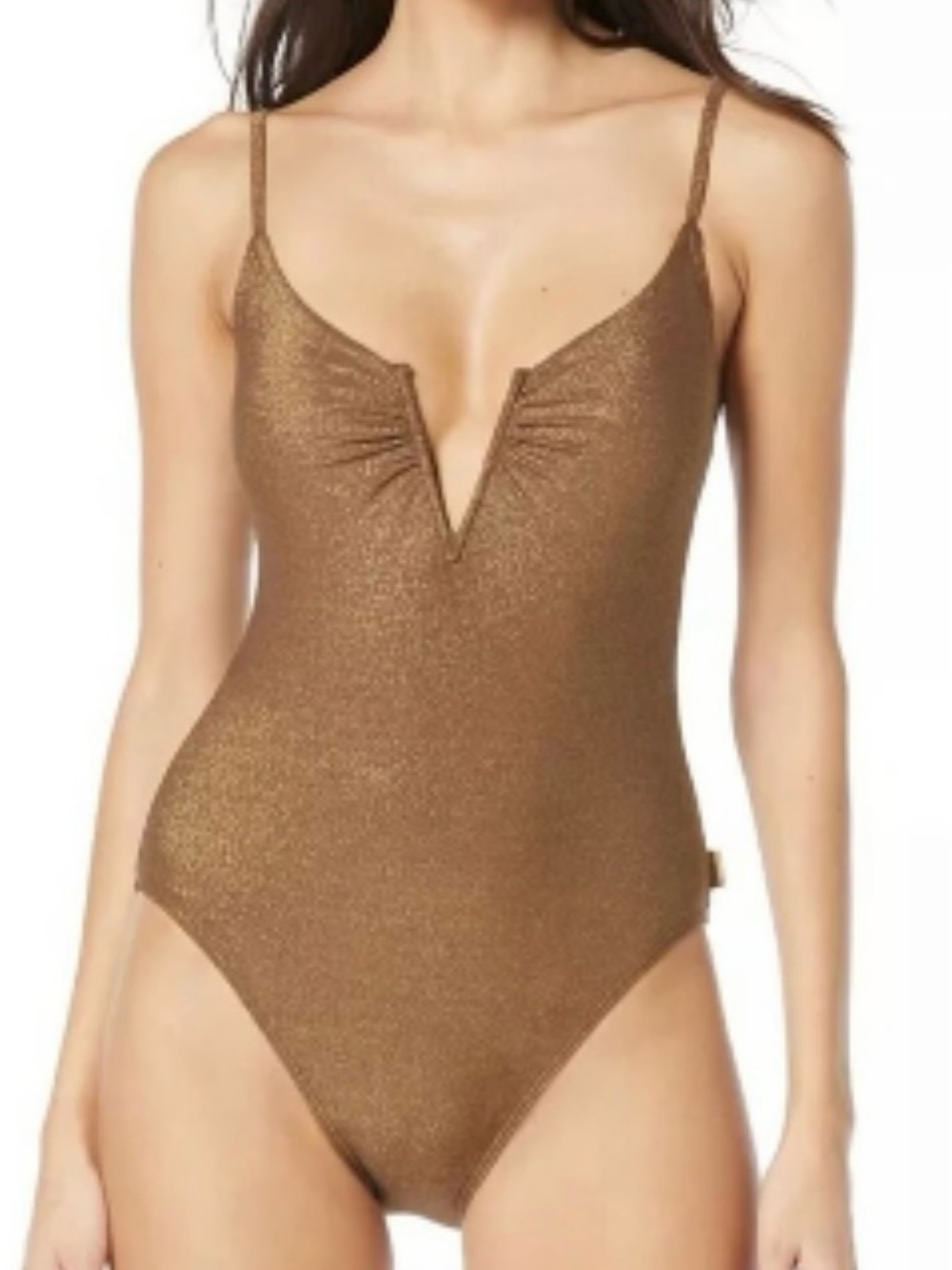 Vince Camuto Bronze Swimsuit